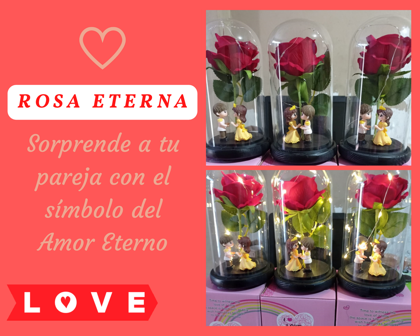 ROSA ETERNA CON LUZ LED